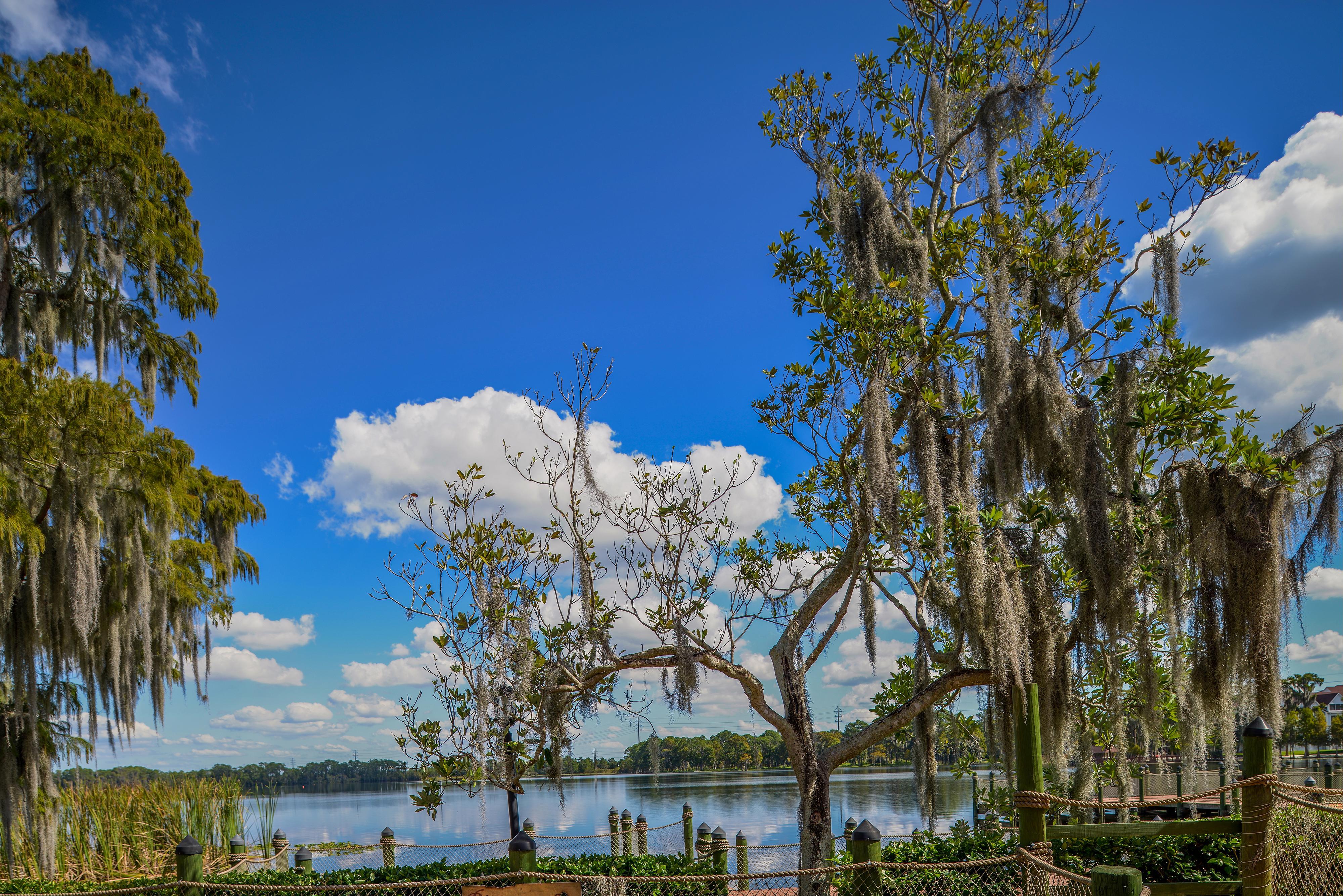 Bryan'S Spanish Cove Lake Buena Vista Dış mekan fotoğraf